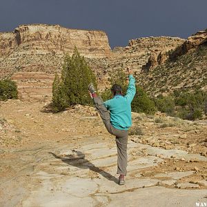 Yoga on Pine Creek