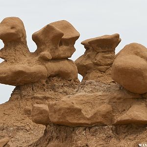 Goblin Valley ducks