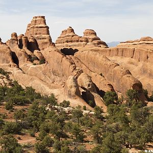 Fins at Arches