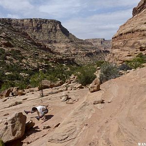 Pine Canyon Yoga