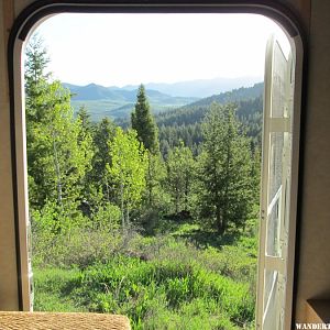 Do,do,do looking out my back door