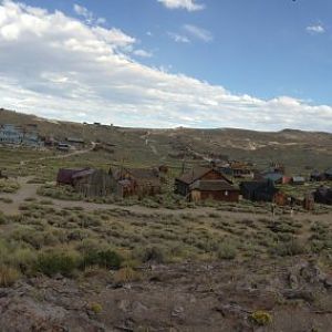 Bodie