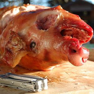 Roast Pig