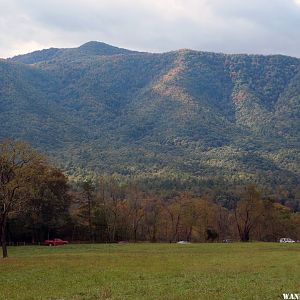 Cades Cove GSMNP