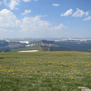 2014 CO FLAT TOPS FLAT TOP MTN