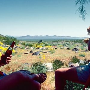 Mojave Road 1983