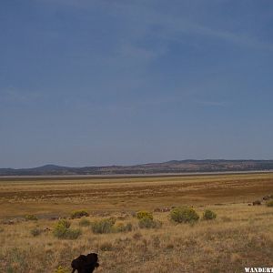 Eagle Lake  view southeast