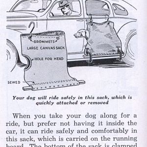 Dog Car sack