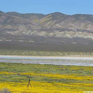 Soda Lake