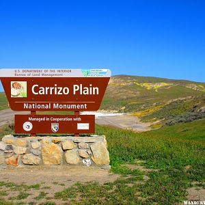 Carrizo Plain