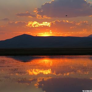 '16 MT ZZ RED ROCK LAKES NWR