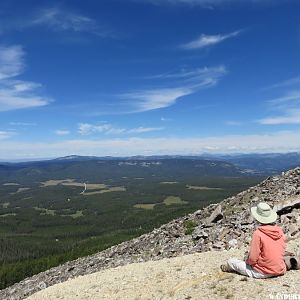 '16 A84 MT, P MT COMET MTN TR