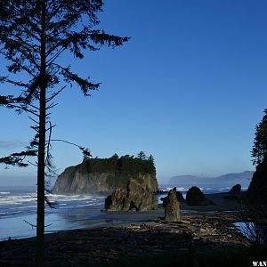 '17 H49 WA OLY NP RUBY BCH