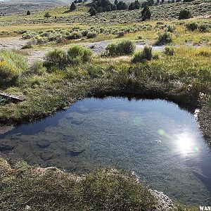 Hart Mountain Antelope Refuge