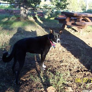 Res. C, Modoc NF