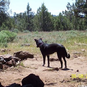 Res C Modoc NF