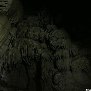 '19 N91 OR OREGON CAVES