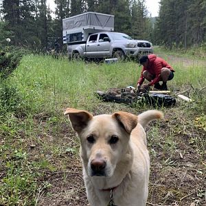 Camper In MT