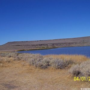 Catnip Res. Sheldon NWR, Nevada(04/07/2020)