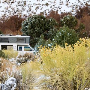 Western Nevada