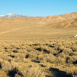 Central Nevada