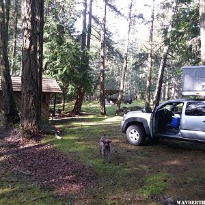 Shaw Island Camp