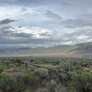 Idaho: Curlew National Grasslands