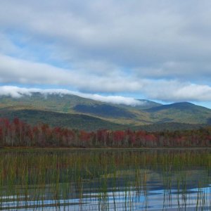 Elbow Pond