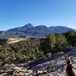 Sand Canyon, CO 2