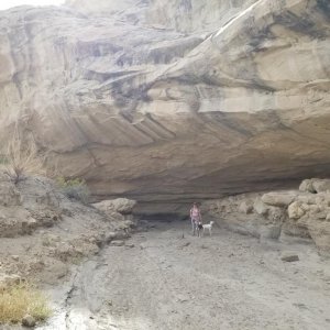 Wiregrass Canyon, UT 2