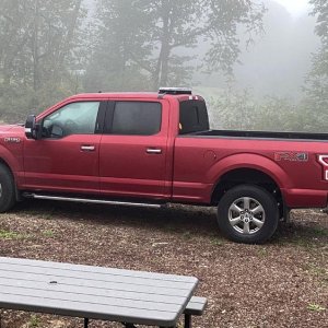 2020 F150 XLT 3.5L Ecoboost 6.5' bed