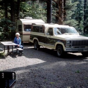 1980 F150 302