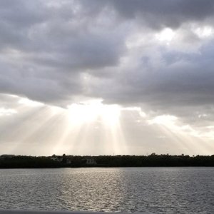 manatee river ftHammerbridge