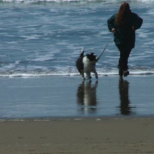 on the beach