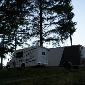 Amongst the evergreen trees in the Evergreen State