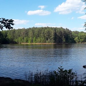 Bandits Roost camp ground W. Kerr Scott Reservoir.