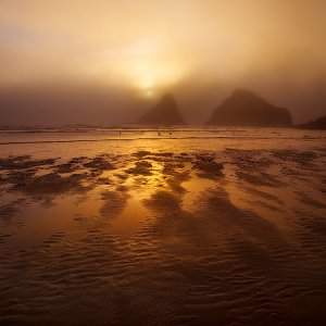 Carl Washburne State Park,  Oregon Coast