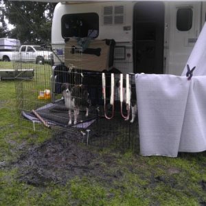 First camping in the trailer at a dog event Memorial Day weekend