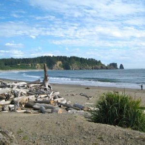 La Push Washington on the Olympic Penninsula