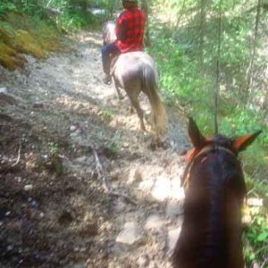 Horsing around really deep in British Columbia