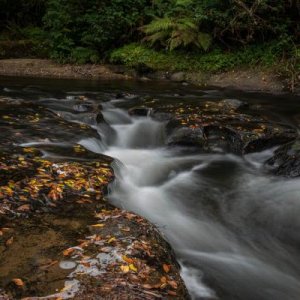 Creek, Laverne County Park, OR