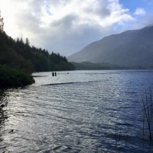 Looking East on our little private beach on First Lake, Nanaimo Lakes BC.