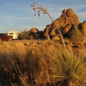 Dry camping at  City of Rocks State Park, NM