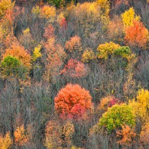 Autumn in central PA