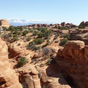 Arches National Park