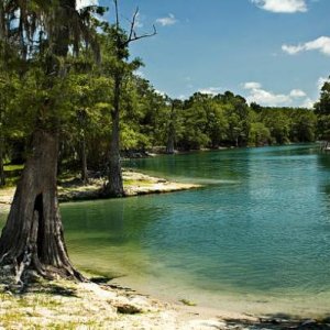 If there’s one thing that you shouldn’t miss out on while RV camping in Florida, it’s visiting the Suwannee River. One of the most famous tourist attr