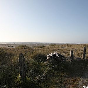 Gold Bluffs Beach Campground May 2009