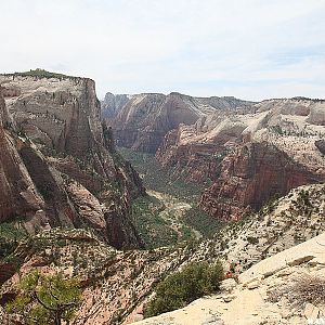 Observation Point Trail - Zion National Park