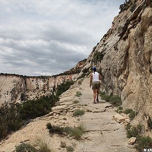 Observation Point Trail - Zion National Park