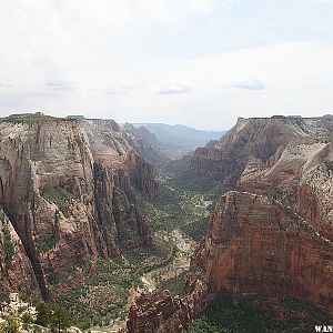 Observation Point Trail - Zion National Park